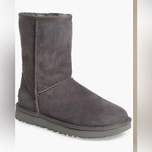 Gray Ugg Mid-Calf Boots